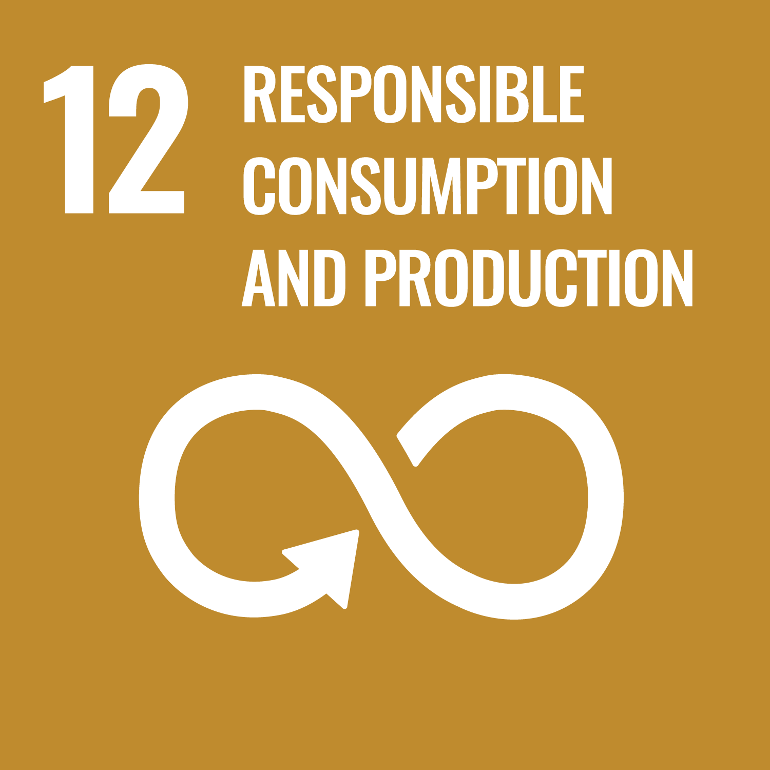 SDG 12 – Ensure sustainable consumption and production patterns