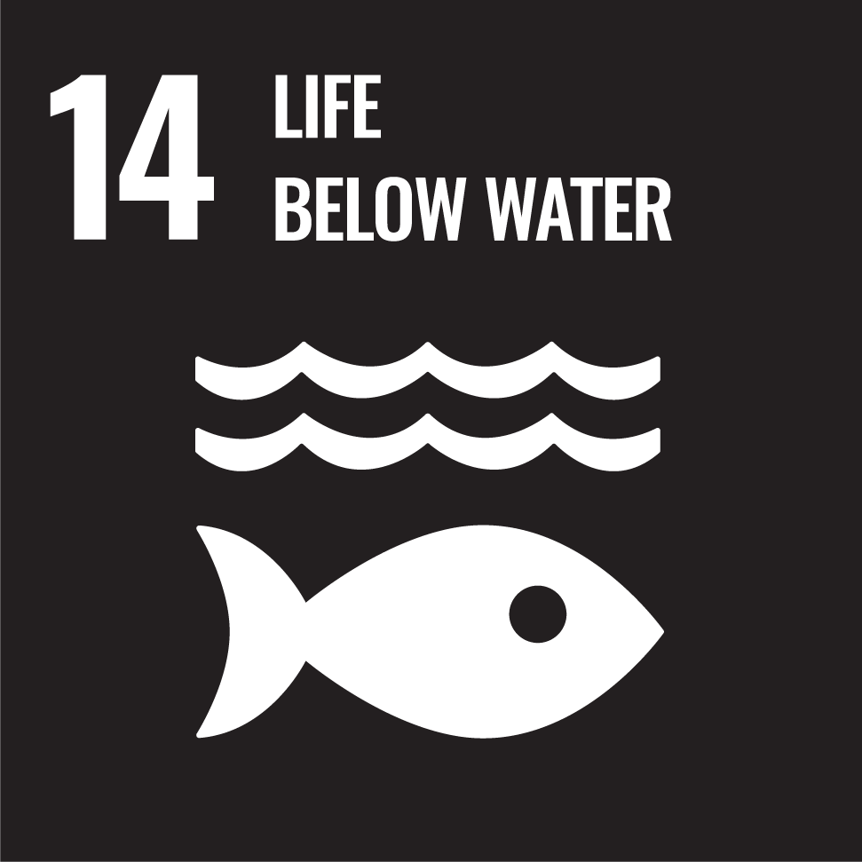 SDG 14 – Conserve and sustainably use the oceans, seas and marine resources for sustainable development