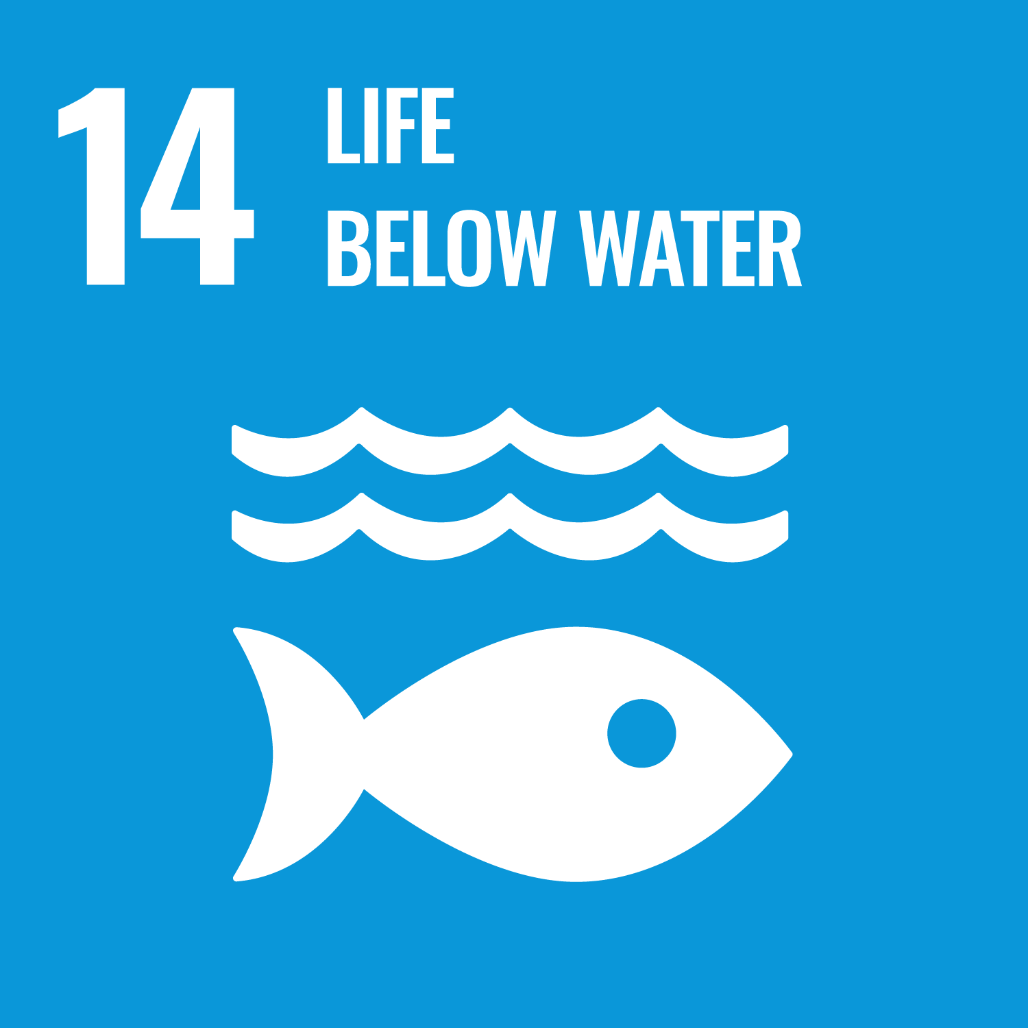 SDG 14 – Conserve and sustainably use the oceans, seas and marine resources for sustainable development
