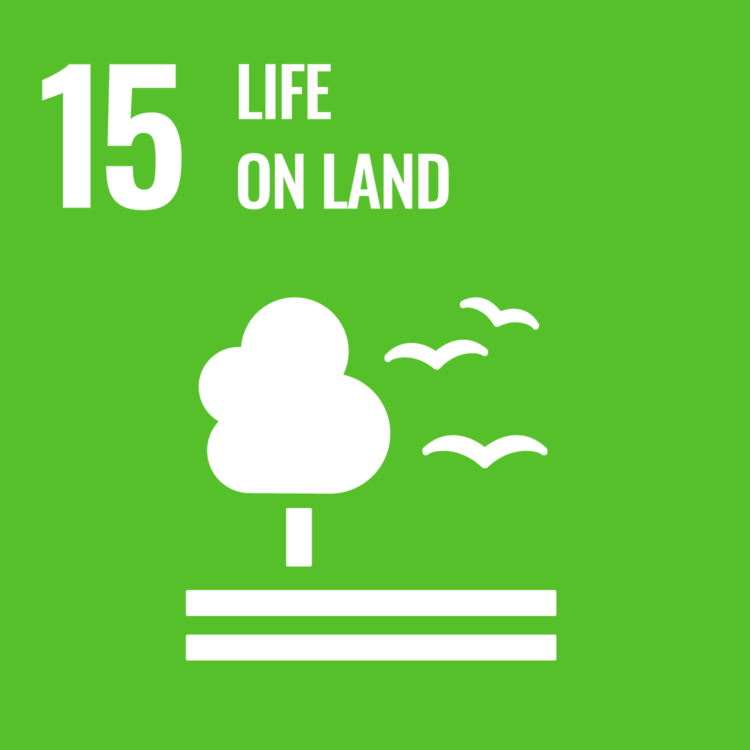SDG 15 – Protect, restore and promote sustainable use of terrestrial ecosystems, sustainably manage forests, combat desertification, and halt and reverse land degradation and halt biodiversity loss