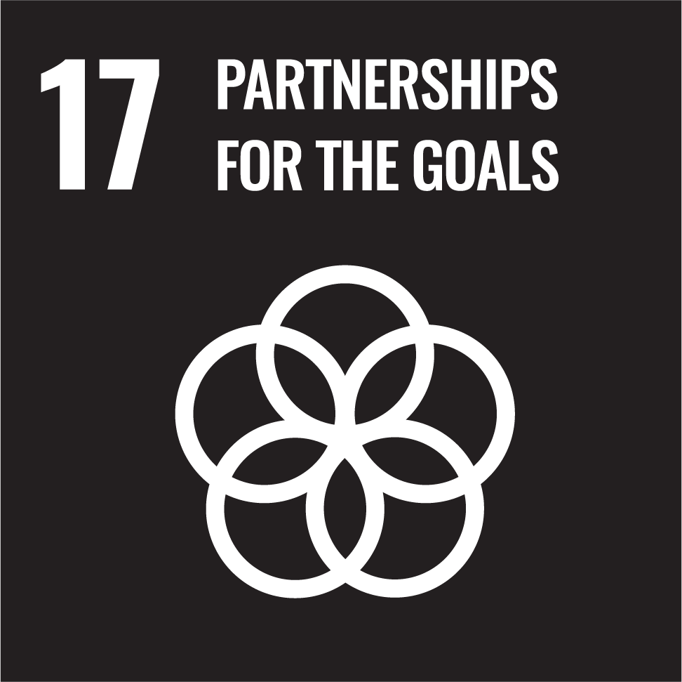 SDG 17 – Strengthen the means of implementation and revitalize the Global Partnership for Sustainable Development