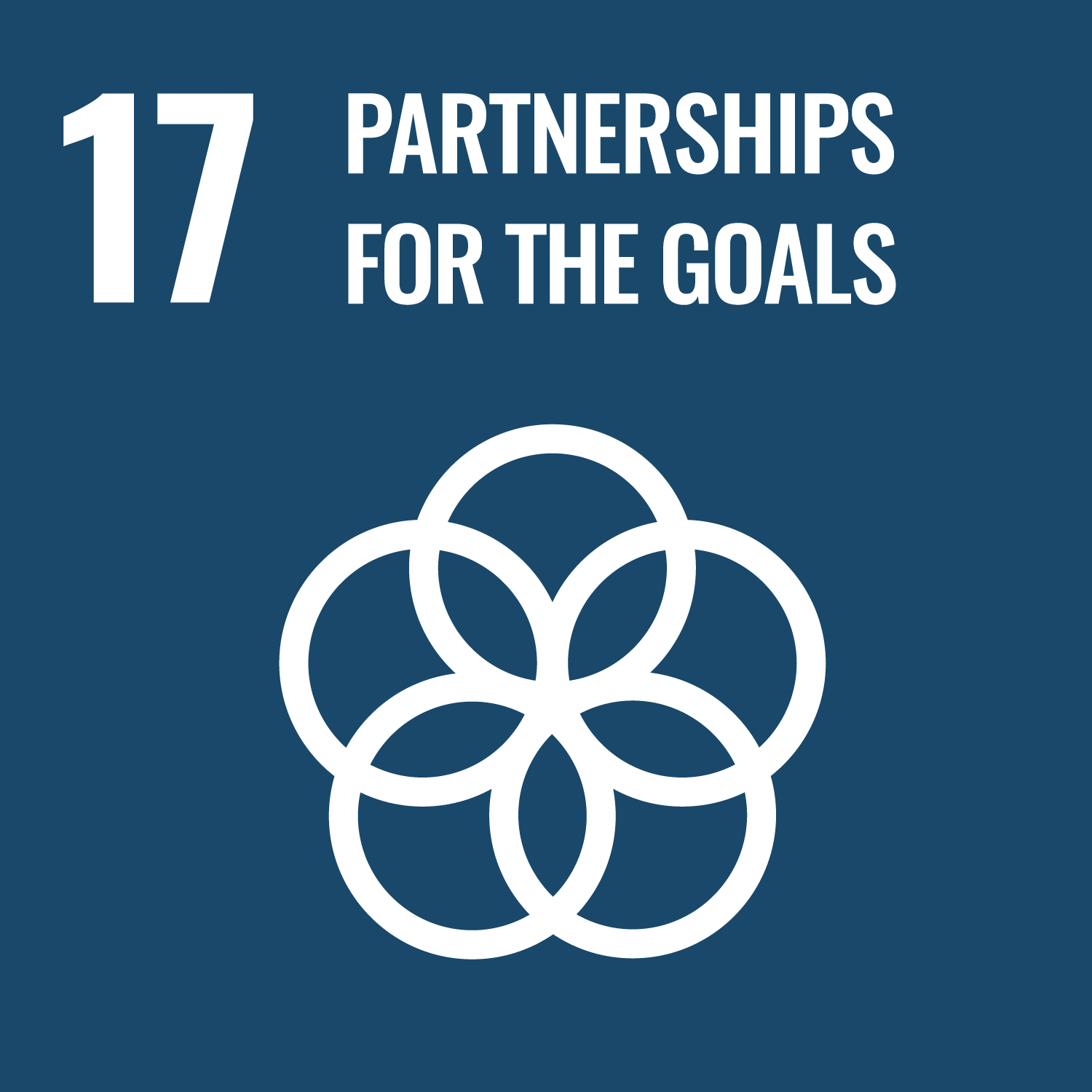 SDG 17 – Strengthen the means of implementation and revitalize the Global Partnership for Sustainable Development