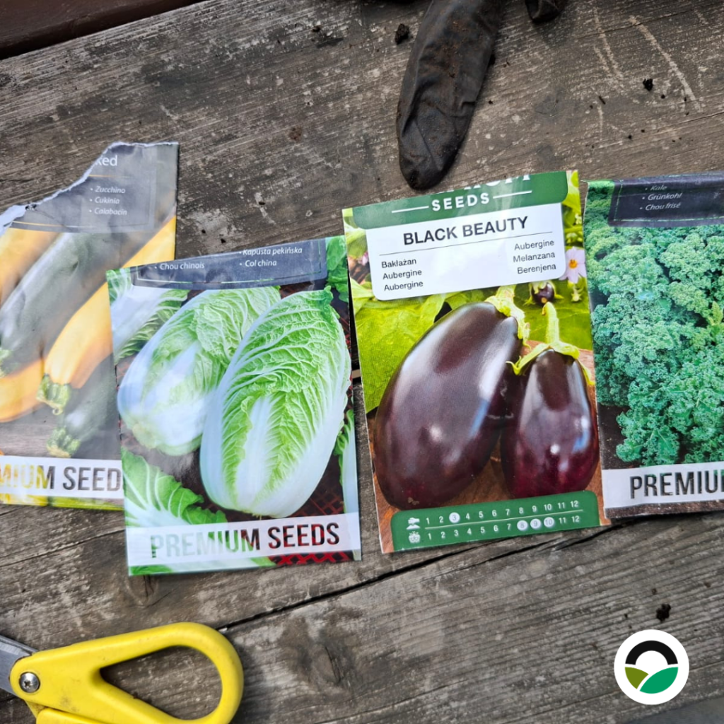  Soil block propagation at Mavronero