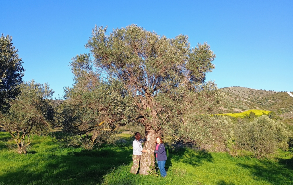 The first Tree of Life: a tribute to Iacovos Philipou