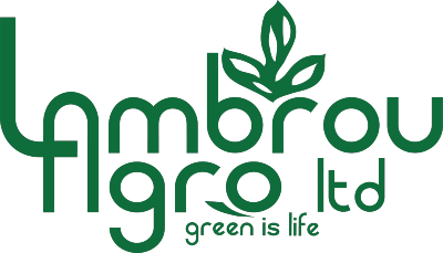 Lambrou Argo