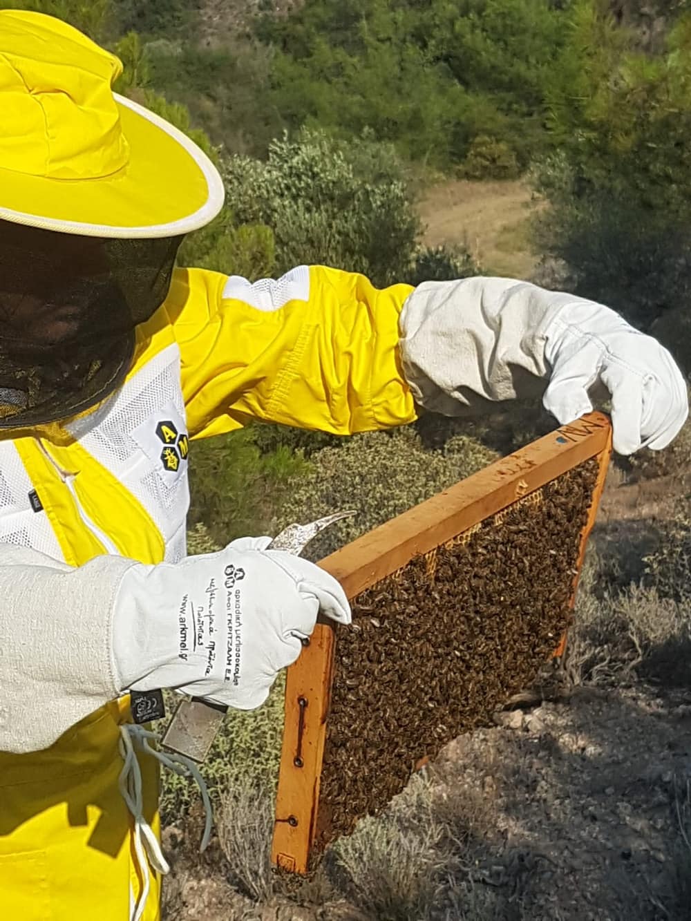 Mavronero bee hive