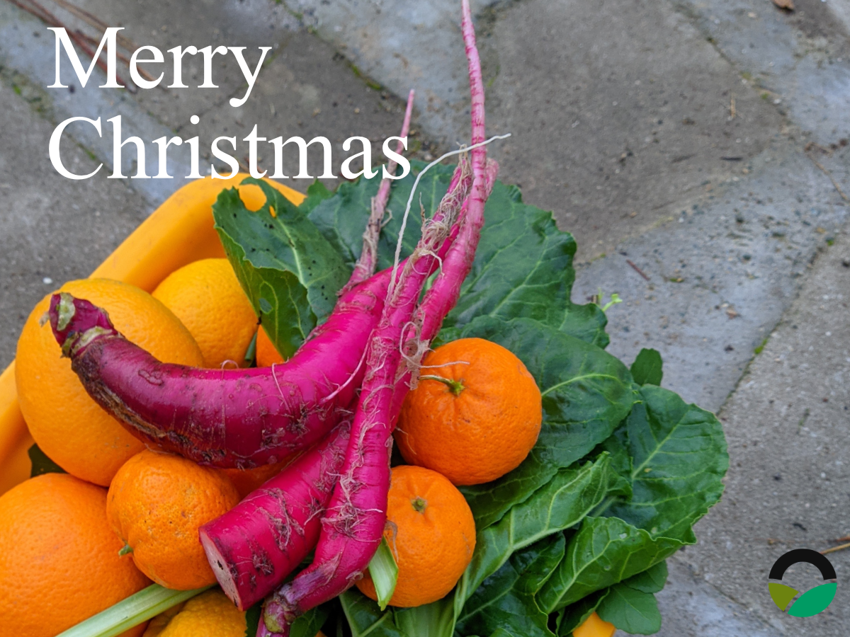 Χριστούγεννα στο Mavronero