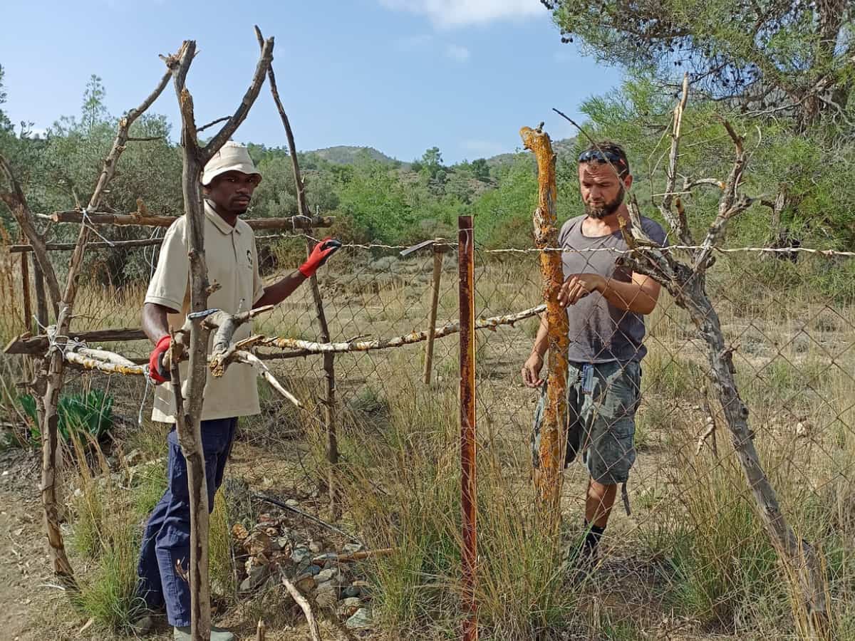 People working on the fence