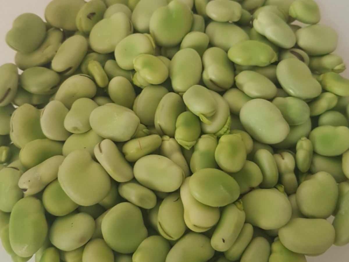 Fresh broad beans
