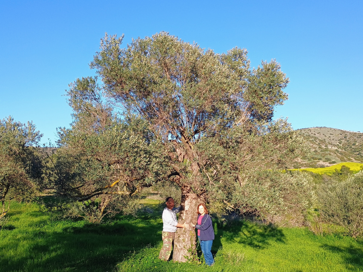 The first Tree of Life: a tribute to Iacovos Philipou