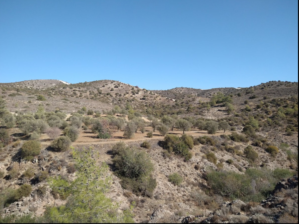 Mavronero Farm and AgrOassis partner for No-Tilling Practices