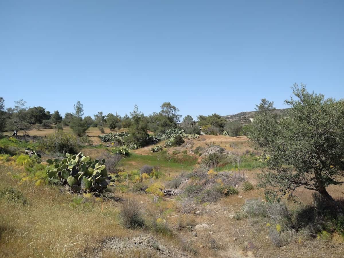 Θέα του Μαυρονερού