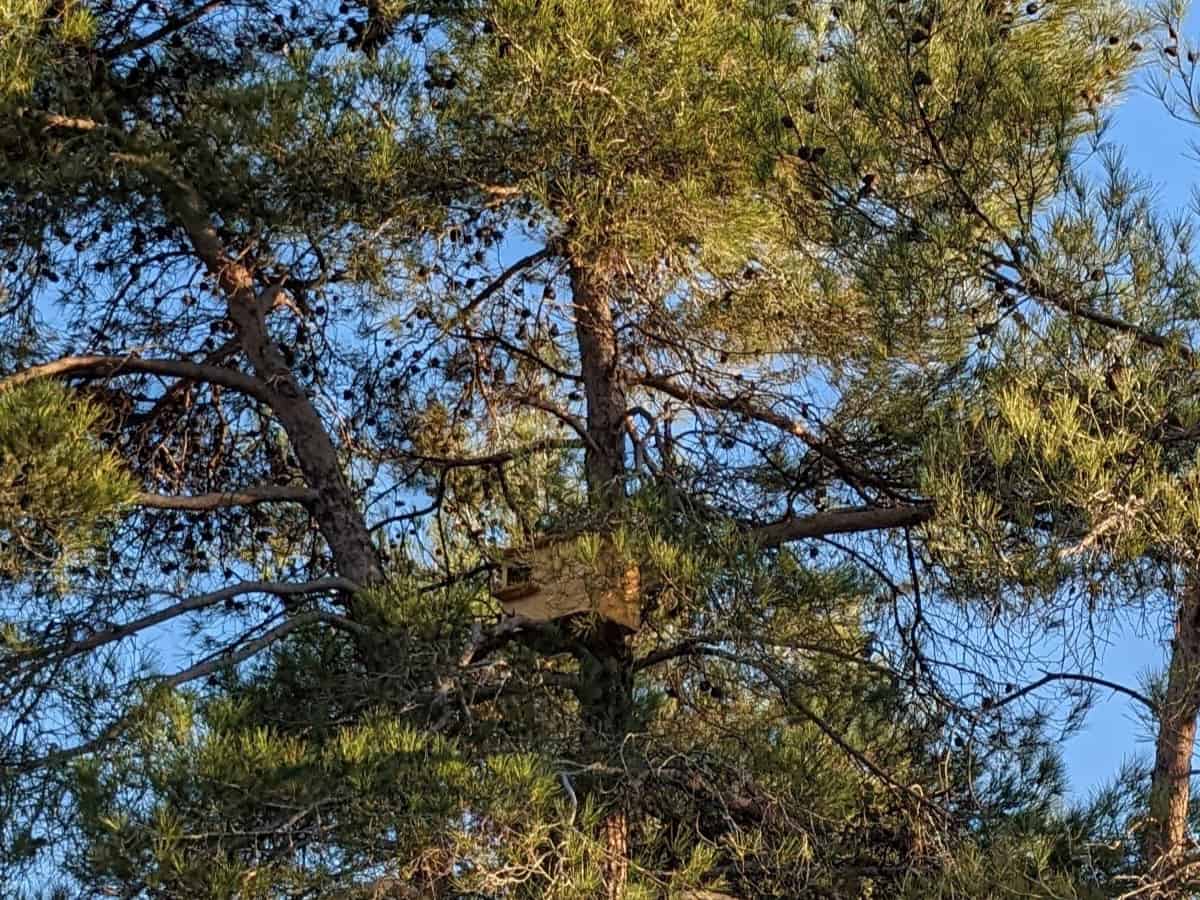 Owl Houses at Mavronero Farm