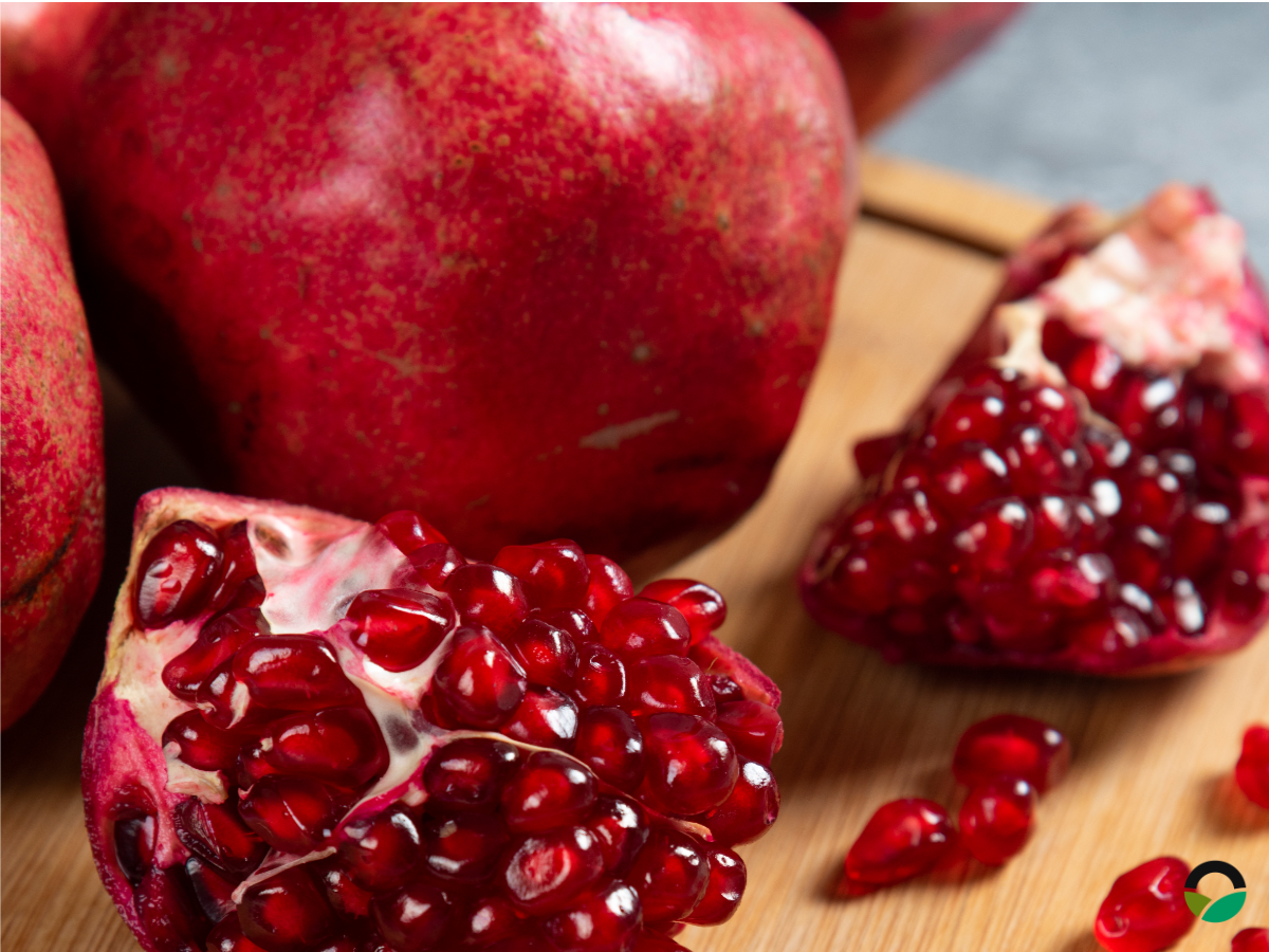 Πολλαπλασιασμός ροδιών από μοσχεύματα