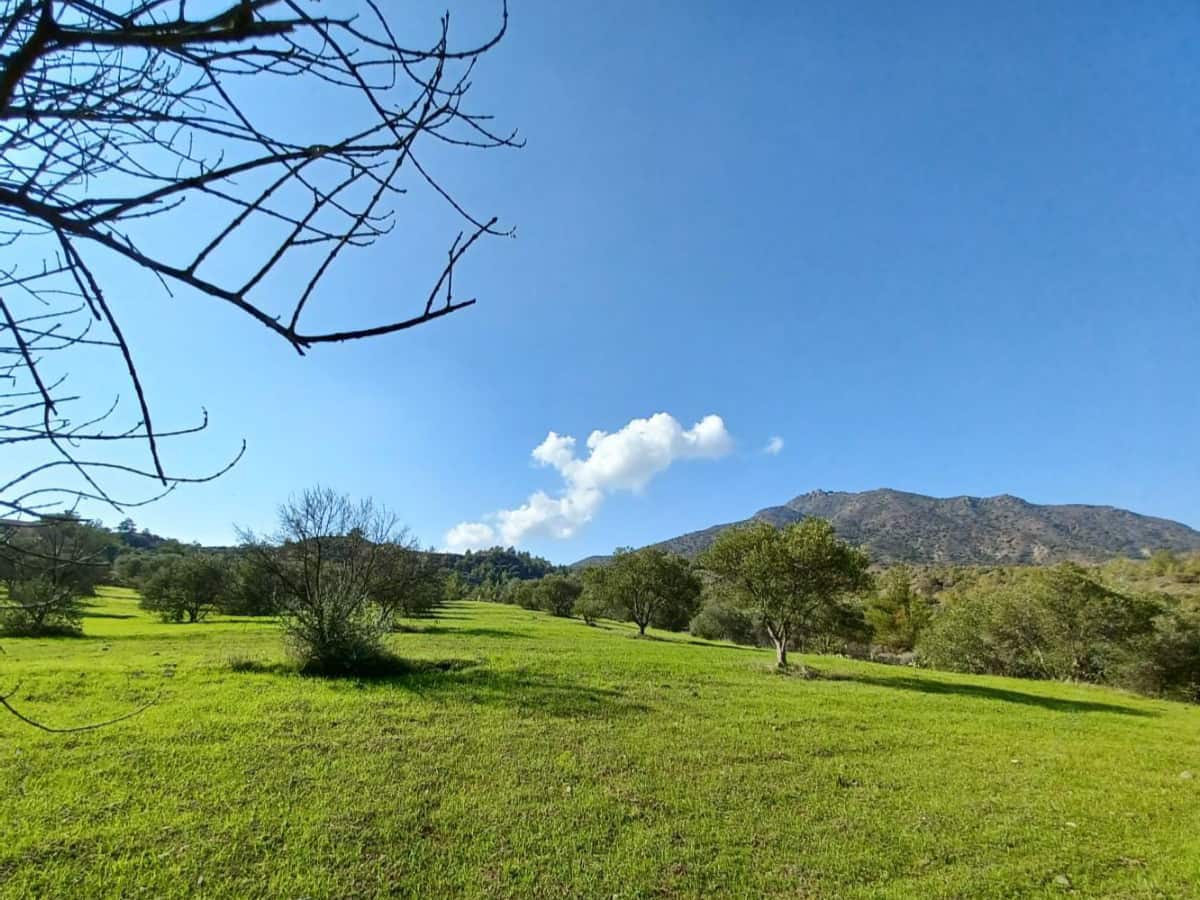 Spring at Mavronero – A true miracle