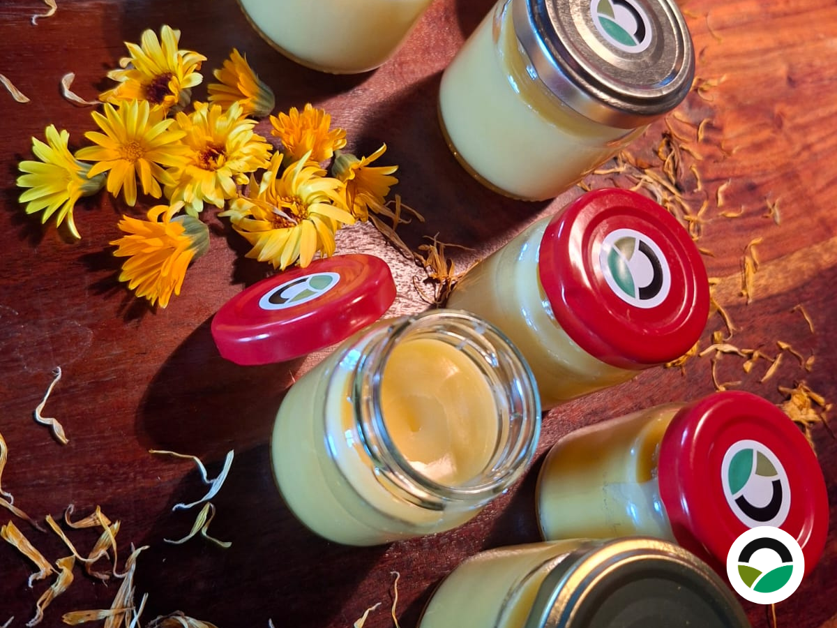 From wildflowers to natural skincare: how we make herbal creams at Mavronero Farm