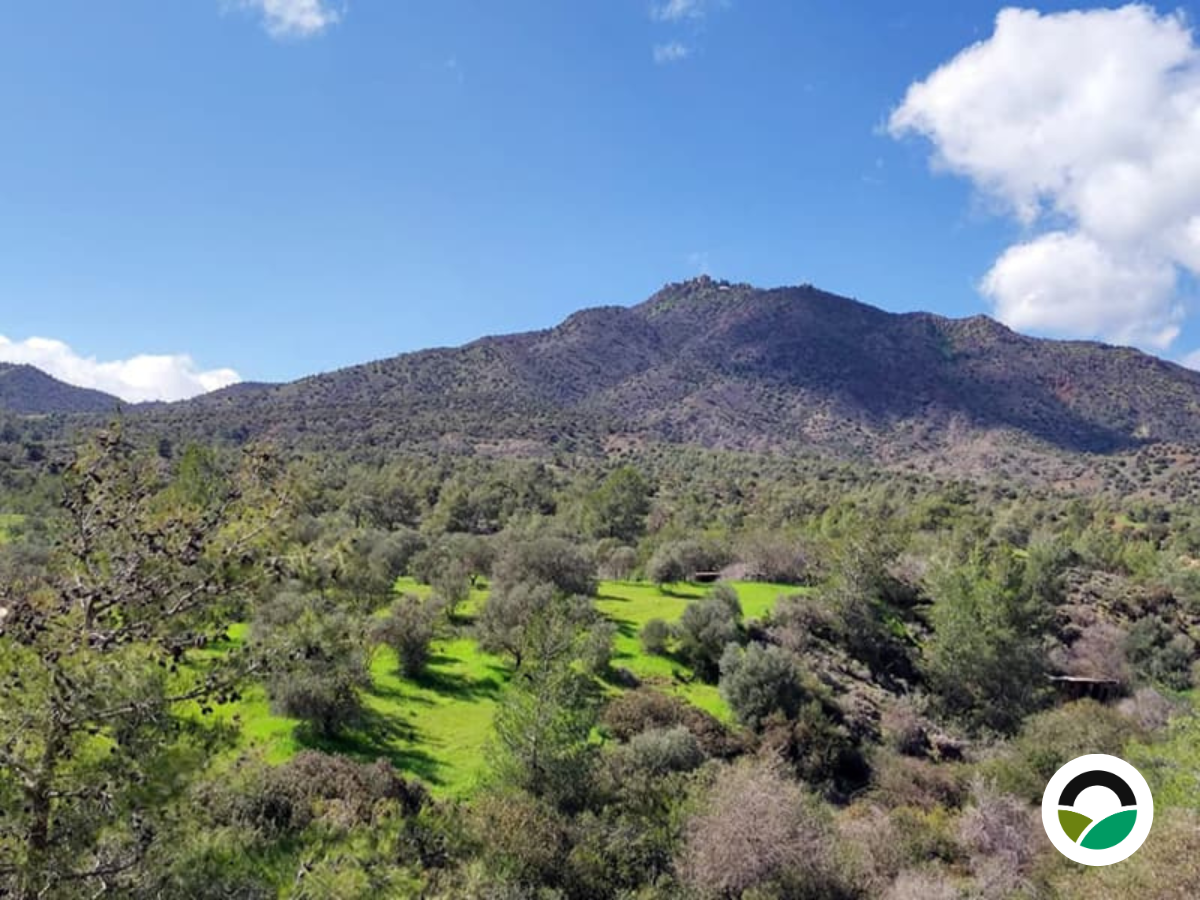 Mavronero on explorer.land