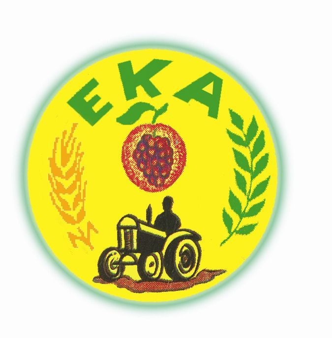 Logo EKA